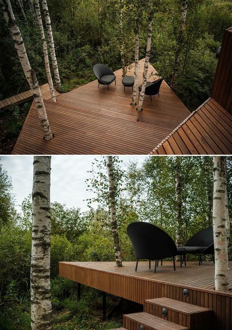 Backyard Forest Landscape, Forest Patio, Forest Landscape Design, Forest Backyard, Deck Around Trees, Forest Architecture, Wood Deck Designs, Small Modern Cabin, Viewing Deck