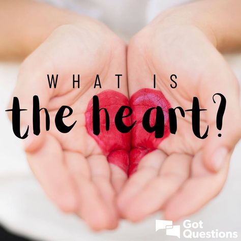 What is the heart? Soul And Spirit, Guard Your Heart, Heart Women, The Soul, The Bible, Bible, Quick Saves