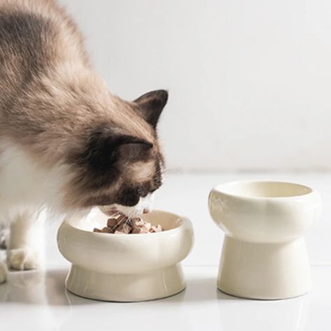 Get the purrfect bowl for your pet's dining pleasure, only on Amazon. Cat Ceramic Bowl, Pottery Cat Bowl, Ceramic Cat Bowls, Ceramic Cat Bowl, Cat Pottery, Morandi Color, Ceramic Dog Bowl, Cat Ceramic, Cat Dishes