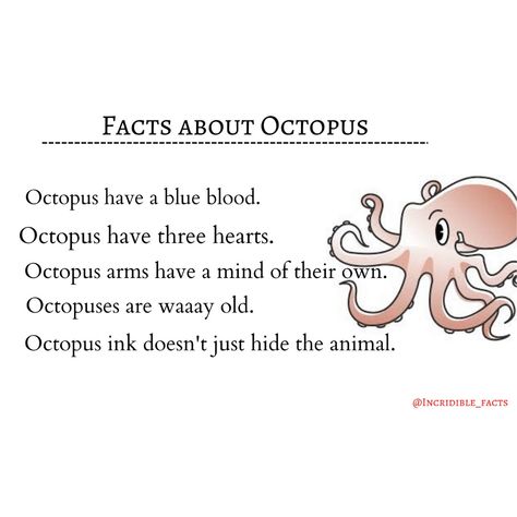 Octopus facts Fun Facts About Octopus, Facts About Sea Animals, Octopus Preschool, Facts About Octopus, Octopus For Kids, Montessori Jobs, Octopus Facts, Facts About Animals, Summer Lesson