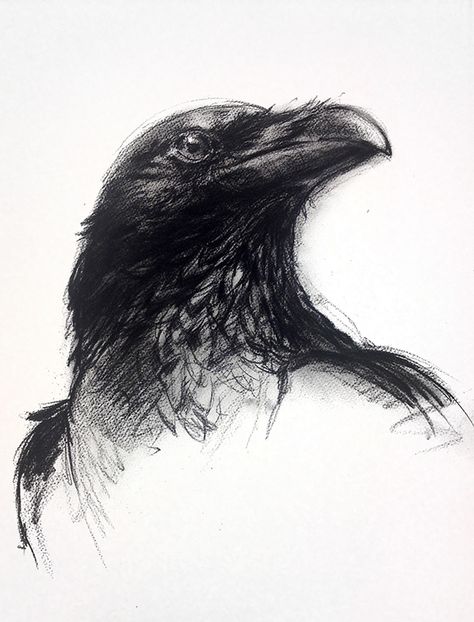 Charcoal Art Abstract, Abstract Charcoal Art, Crows Drawing, Charcoal Artwork, Wrist Tattoo Ideas, Crow Painting, Art Charcoal, Crow Art, Raven Art