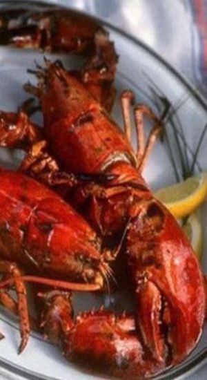 Grilled Lobster Recipes, Chef Ramsey, Seafood Lobster, Captain's Quarters, Club Lifestyle, Lobster Roll Recipes, Live Lobster, Grilled Lobster, How To Cook Lobster