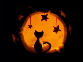 Cat Pumpkin Carving, Pumpkin Carving Patterns, Pumpkin Carvings, Chat Halloween, Pumpkin Pumpkin, Halloween Pumpkins Carvings, Carving Patterns, Halloween Tags, Pumpkin Art