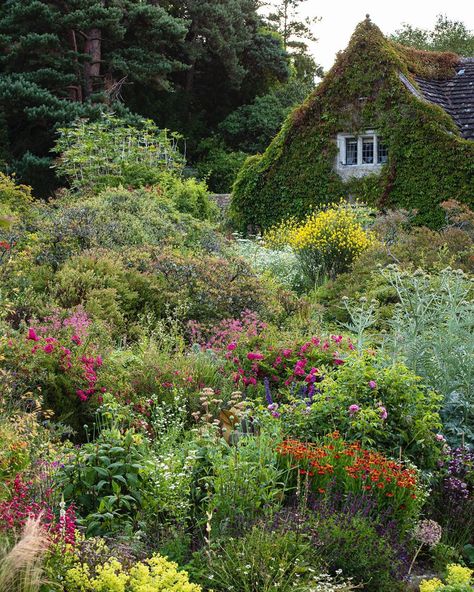 Claire Takacs on Instagram: “A view I always love at @gravetyemanor and how it changes with the seasons...photographed this morning” Claire Takacs, Gravetye Manor, William Robinson, Country Garden Design, Cottagecore Garden, Manor Garden, English Country Gardens, Garden Tool Set, Garden Borders