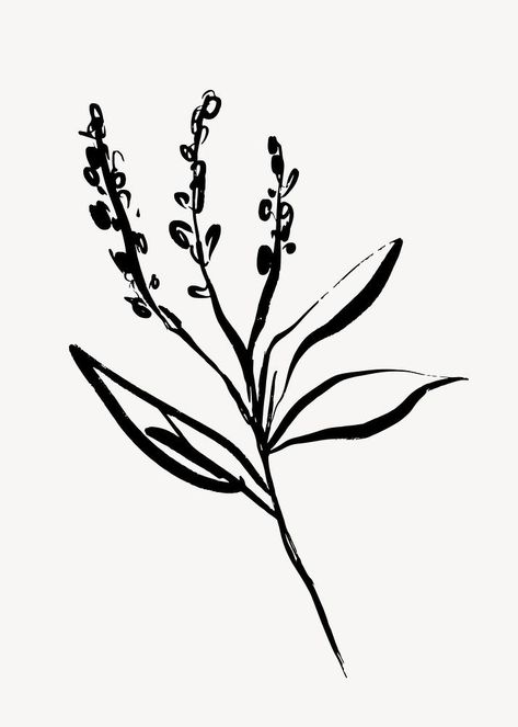 Ignorant Flower Tattoo, Lavender Line Drawing, Lavender Doodle, Brush Aesthetic, Lavender Drawing, Line Drawing Flower, Aesthetic Line Art, Simple Tattoos For Guys, Line Art Flowers