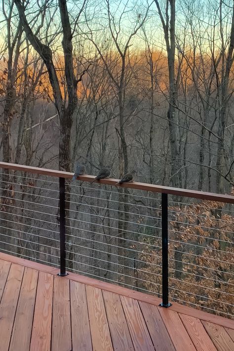 Outdoor Wire Railing, Invisible Railing Deck, Balcony Cable Railing, Outdoor Handrail Wood, Black Wire Railing Deck, Porch Wire Railing, Deck Railing Cable, Black Cable Deck Railing, Deck With Wire Cable