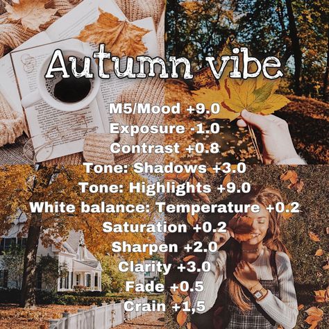 Autumn Aesthetic Photo Edit, Thanksgiving Vsco Filters, Autumn Aesthetic Filter, Autumn Filter Lightroom, Fall Aesthetic Photo Ideas, Fall Lightroom Edits, Autumn Vsco Filters, Fall Photo Presets, Lightroom Autumn Presets