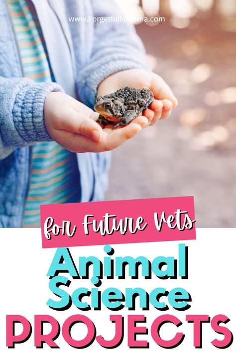 There are some great things out there for kids who are interested in learning more about animals. I have found some great resources for animal science projects for future vets. Science Fair Projects With Dogs, Vet Science Activities, Science Projects Ideas, Animal Science Projects, Animal Science Experiments, Kids Science Fair Projects, Dog Science, Science Fair Experiments, Homeschool Science Curriculum