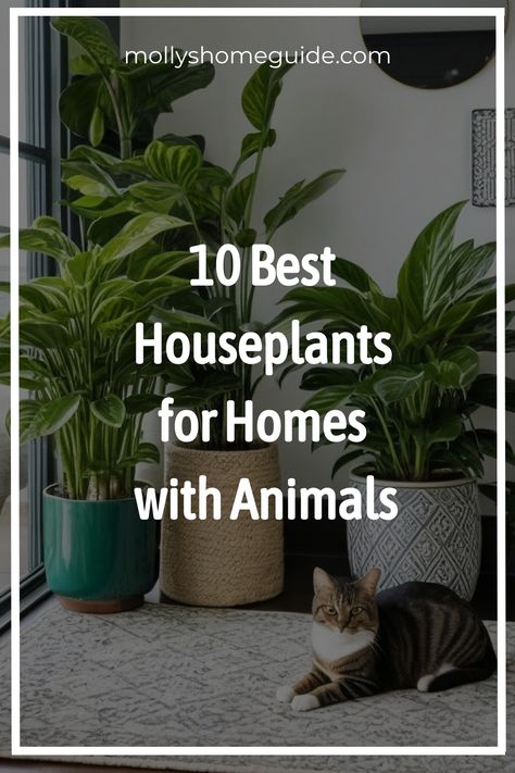 Discover the best indoor plants that are safe for your beloved pets and kids! Whether you're looking for non-toxic options or pet-friendly varieties, this plant guide for pet owners has you covered. From low-light indoor plants to those safe for cats and dogs, explore a variety of options to brighten up your space without worry. Learn about 15 indoor plants that are safe for cats and dogs, as well as 30 best non-toxic indoor plants. Non Toxic Plants For Cats, Cat Friendly House Plants, Indoor Tree Plants, Cat Friendly Plants, Best Houseplants, Toxic Plants For Cats, Plant Jungle, Low Light Indoor Plants, Plants Pet Friendly