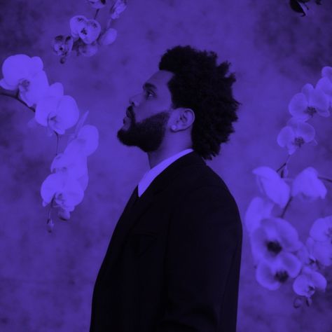 The Weekend Purple Aesthetic, The Weeknd Purple Aesthetic, The Weeknd Purple, Rainbow Pics, Spotify Theme, The Weeknd Aesthetic, Weeknd Aesthetic, Weeknd Wallpaper, Weekend Aesthetic