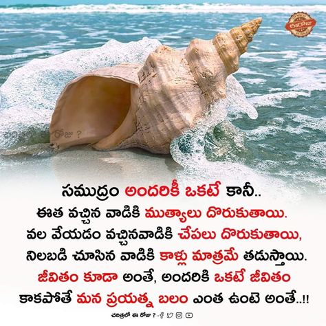 Telugu Questions, Life Lessons Quotes Relationships, Geeta Quotes, Devotional Reading, Bible Quotes Telugu, Bible Pictures, Cute Quotes For Life, Devotional Quotes, Motivational Pictures