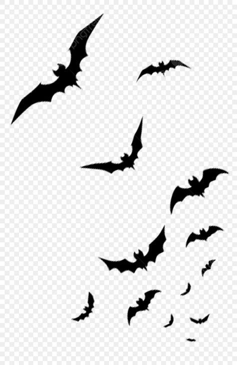 Halloween Png Images, Bats Clipart, Bats Silhouette, Bats Tattoo, Filler Images, Haunted House Clipart, Bat Png, Bats Tattoo Design, Png Material