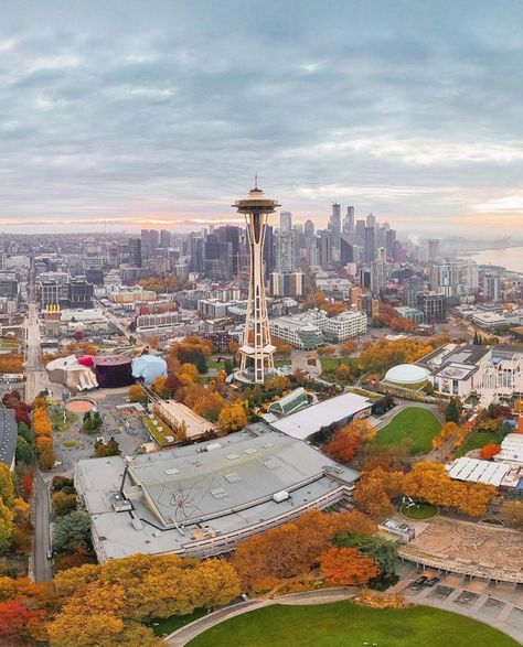 Seattle Fall, Visit Seattle, Sleepless In Seattle, Pretty Trees, Oregon Washington, To Autumn, One Photo, Emerald City, Happy Wednesday