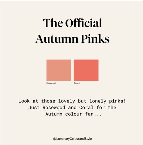 True Autumn Pink, Deep Autumn Palette, Autumn Color Palette Fashion, Deep Autumn Color Palette, Colour Season, Autumn Skin, Soft Autumn Color Palette, Skin Tone Makeup, Autumn Soft