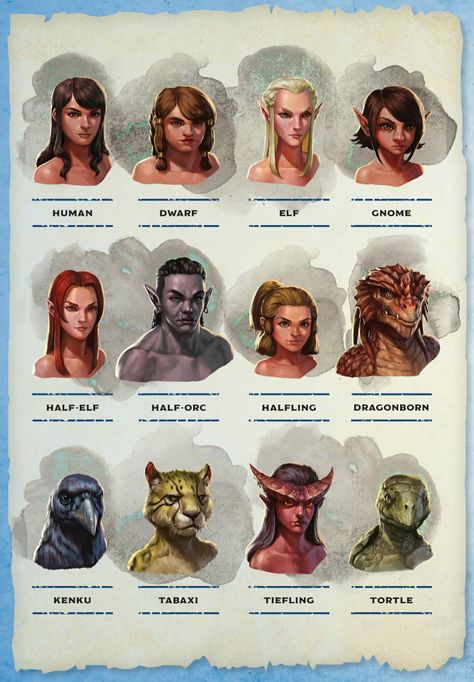 Rpg Character Sheet, Dungeons And Dragons Races, D D Races, Dnd Character Sheet, World Mythology, Armor Clothing, Dnd Races, Dungeons And Dragons Art, Dungeons And Dragons Classes