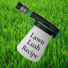 Grub Worms, Lush Recipes, Lawn Repair, Lawn Food, Aerate Lawn, Diy Lawn, Lawn Fertilizer, Lawn Care Tips, Lush Lawn