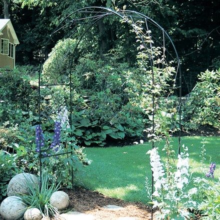 Buy Obelisks & arches: Delivery by Crocus Garden Entrances, Metal Garden Arch, Oregon Garden, Climbing Flowers, Garden Arches, Garden Entrance, Powder Paint, Lattice Design, Garden Trellis