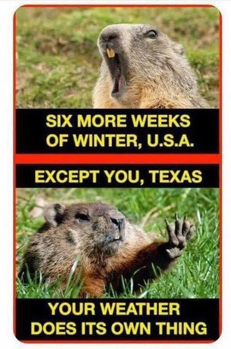 Texas weather New Jersey Humor, Texas Quotes, Weather Memes, Texas Humor, Only In Texas, Texas Weather, Texas Life, Texas Forever, Funny Jokes To Tell