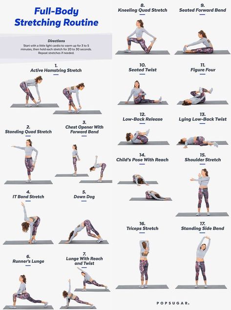 Dragon Boating, Full Body Stretching Routine, Stretches Before Workout, Post Workout Stretches, Body Stretching, Stretching Routine, Full Body Stretch, Stretch Routine, Workout Without Gym