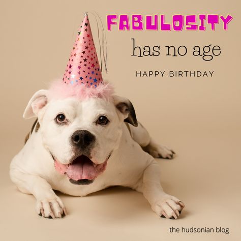 "Fabulosity has no age. Happy Birthday" -the hudsonian blog WoW 116 #words #wordsofwisdom #wordstoliveby #wisdom #wisdomquotes #quotes #quotesdaily #quoteoftheday #quotestoliveby #fabulosity #fabulous #hasnoage #happybirthday #birthday #thehudsonianblog The Secret, Wisdom Quotes, Daily Thoughts, Birthday Humor, Book Format, Quote Of The Day, Quotes To Live By, Me Quotes, Words Of Wisdom