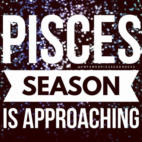 Pisces Poster, Pisces Season, All About Pisces, March Baby, About Pisces, February Baby, Season Quotes, Pisces Love, Pisces Quotes