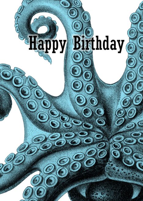 Teal Octopus Birthday Hug card Octopus Birthday, Teal Birthday, Hug Card, Birthday Hug, Creative Invitations, Invitation Wording, Happy Birthday Card, Special Cards, Unique Cards