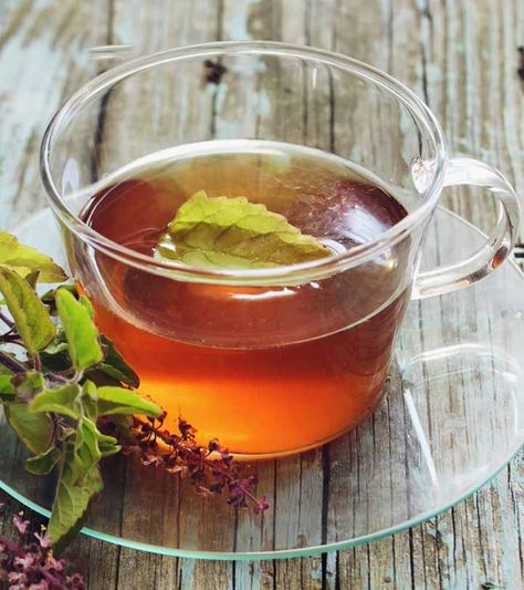 Basil Tea Recipe, Tulsi Tea Benefits, Holy Basil Benefits, Benefits Of Basil, Holy Basil Tea, Basil Tea, Tulsi Tea, Fennel Tea, Tulsi Plant