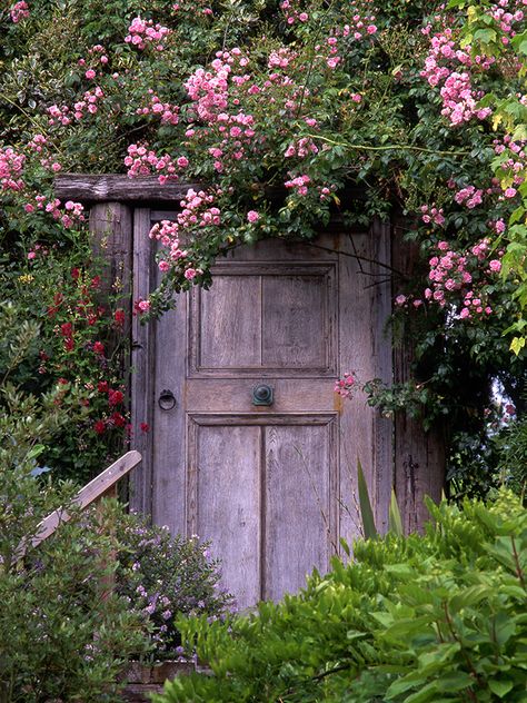 Add a little mystery to your garden. Secret Garden Door, Pergola Retractable, Conservatory Garden, Shabby Chic Garden, Pergola Ideas, Upcycle Garden, Retractable Canopy, Flowers And Greenery, Boho Cottage