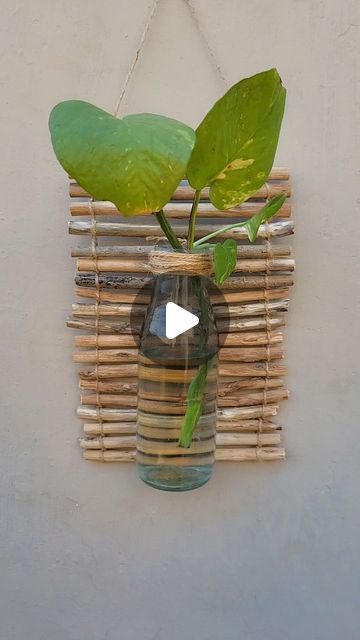 Bloomy on Instagram: "I turned an old glass bottle into a hanging planter using jute rope and dried branches 🌿✨️
Then, I hung the planter on the wall, filled the bottle with water, and added a money plant.Don't forget to change the water regularly to keep your plant healthy 💚

Hope you like this video ❤️ 
Let me know if you have any questions 😊 
.
.
.

#diy #upcycled #hangingplanter #bottledecor #reuse #plantdecor #homestylinginspo #wastetoart #creativeideas" Old Glass Bottles, Glass Bottle Diy, Diy Glass Bottle Crafts, Money Plant, Garden Crafts Diy, Craft Room Decor, Plant Decor Indoor, Glass Bottle Crafts, House Plants Decor