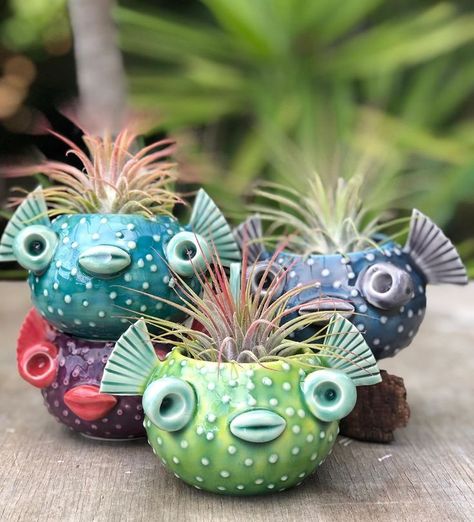 Puffer Fish Pottery, Ceramic Animal Pots, Ceramic Puffer Fish, Clay Puffer Fish, Fish Pottery Ideas, Ceramic Pottery Inspiration, Ceramic Pots Ideas, Pinch Pot Ideas Ceramics Animals, Animal Ceramics Ideas