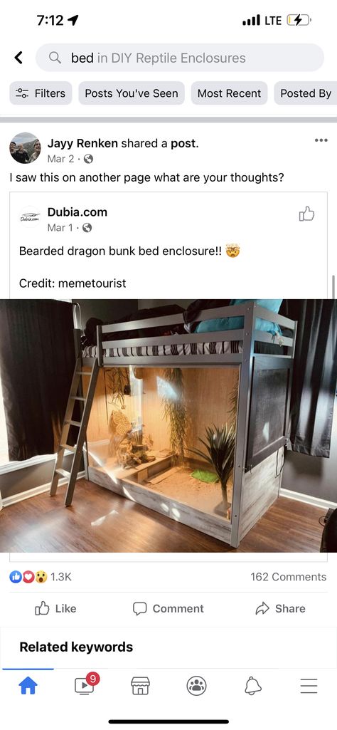 Bearded Dragon Home Ideas, Reptile Terrarium Furniture, Built In Reptile Enclosure, Reptile Room Ideas Diy, Bearded Dragon Enclosure Ideas Dresser, Terrarium Stand Reptile, Themed Reptile Enclosure, Dumerils Boa Enclosure, Diy Iguana Enclosure Indoor