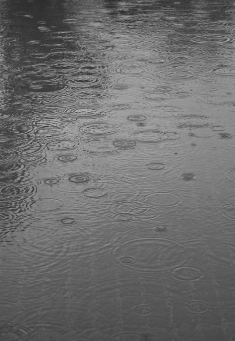 Rainy Day Aesthetic, I Love Rain, Rain Wallpapers, Love Rain, Spring Rain, Walking In The Rain, Rainy Night, Gray Aesthetic, Sound Of Rain