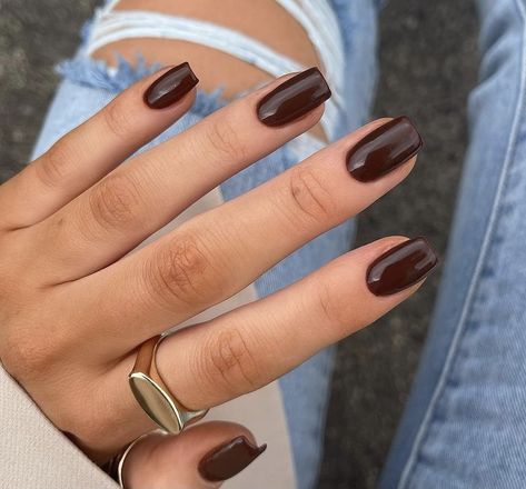 Chocolate Brown Gel Nails Short, Expresso Brown Nails, Squoval Brown Nails, Chocolate Square Nails, Cocoa Nail Color, Dark Brown Square Nails, Basic Solid Color Nails, Winter Solid Color Nails, Chocolate Colored Nails