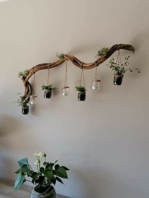 A modern industrial look with copper pipes used as hangers. Wall Hanging Decorations, Hanging Plants Diy, Indoor Plant Wall, Hanging Plant Wall, Plants Wall, Plant Decor Indoor, Driftwood Crafts, Branch Decor, House Plants Decor