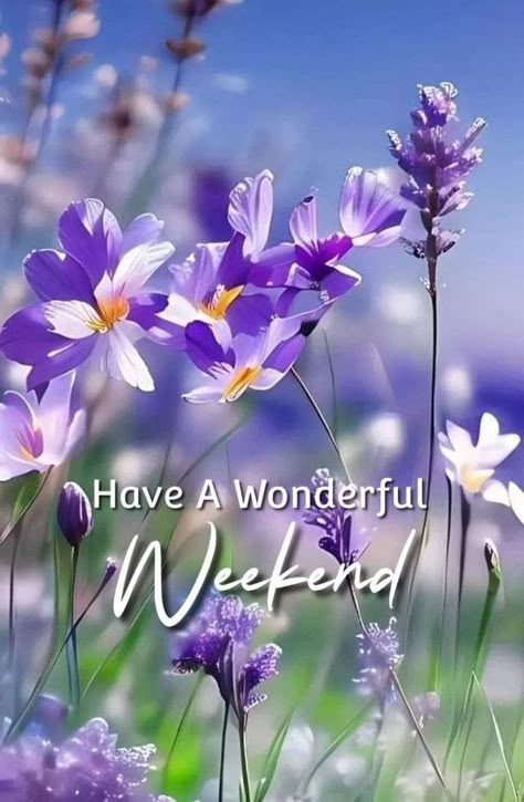 Good Morning Happy Weekend, Weekend Wishes, Saturday Greetings, Massage Pictures, Greetings For The Day, Weekend Greetings, Weekend Images, Happy Day Quotes, Good Morning Saturday