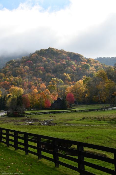 North Carolina Scenery, Rural North Carolina, House In North Carolina, Fall North Carolina, Fall In Mountains, North Carolina Farmhouse, North Carolina Countryside, Houses In North Carolina, South Carolina Mountains