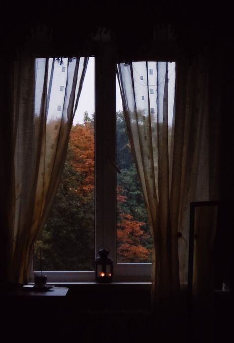 Window Autumn, Forest Window, Cozy Environment, Fall Windows, Window Photography, Dark & Stormy, Fall Evening, Torch Light, Window View