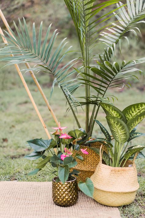 Tropical Wedding Reception, Tropical Wedding Theme, 1940s Wedding, Tropical Wedding Inspiration, Vintage Groom, Old Hollywood Wedding, Retro Bride, Kauai Wedding, Luau Wedding