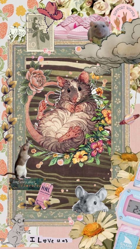 Rat Wallpapers Aesthetic, Rat Wallpapers, Cute Rat Aesthetic, Abc Wallpaper, Rat Aesthetic, Rat Ideas, Future Background, Collage Wallpapers, Funky Vibes