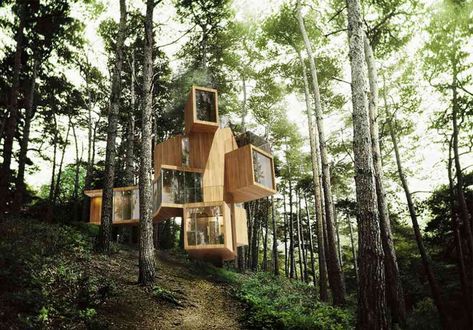 The Qiyun Mountain Tree House | Bengo Studio - Arch2O.com Interactive Art Installation, Mountain Tree, Huangshan, Four Seasons Hotel, Dream Spaces, School Architecture, Maine House, Glamping, Installation Art