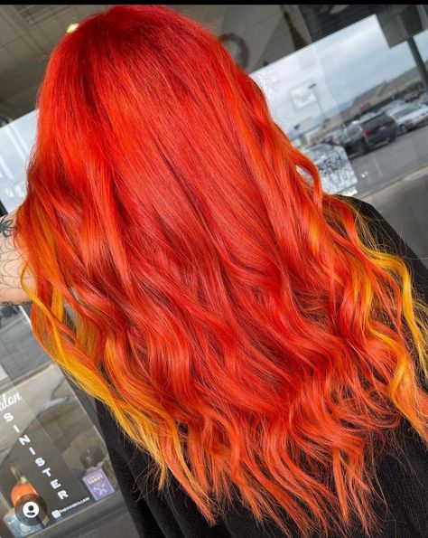 Flame Hair, Hair Color Streaks, Rainbow Hair, Dyed Hair, Hair Color, Dye, Rainbow, Long Hair Styles, Hair Styles