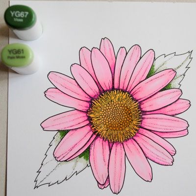 Copic coloring tutorial...click on the picture and then click on it again... Copic Markers Tutorial, Copic Pens, Copic Marker Art, Flower Drawings, Copic Art, Coloring Tips, Coloring Tutorial, Digi Stamp, Plant Drawing