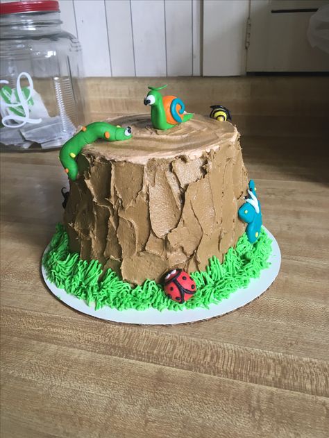 Insect Cakes For Boys, Bugs Cake Ideas, Bug Smash Cake, Bug Cakes For Boys, Insect Birthday Cake, Fondant Bugs, Insect Cake, Beetle Cake, Lizard Cake