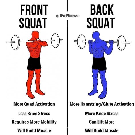 @scientificallyshredded on Instagram: “🏋🏻‍♂️ FRONT VS BACK SQUAT🏋🏻‍♂️ 🔥Follow @scientificallyshredded for more daily fitness tips!💪 . Credits: @jprofitnesss . . Squatting is one…” Back Squat, Gym Workout Guide, Glute Activation, Workout Training Programs, Back Squats, Front Squat, Abs And Cardio Workout, Weight Training Workouts, Martial Arts Workout