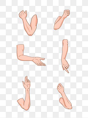 Arm Animation, 2d Animation Characters, Animated Hands, Cartoon Arms, Body Animation, Character Hands, Character For Animation, Transparent Character, 2d Cartoon Character