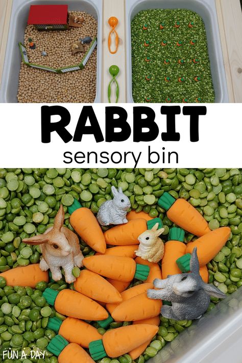 Sensory Bins Animals, Pets Sensory Bin, Bunny Activities For Preschool, Bunny Sensory Bin, Pet Sensory Bin, Pet Themed Crafts, Pet Sensory Bin Preschool, Animals Sensory Bin, Pet Themed Sensory Bin