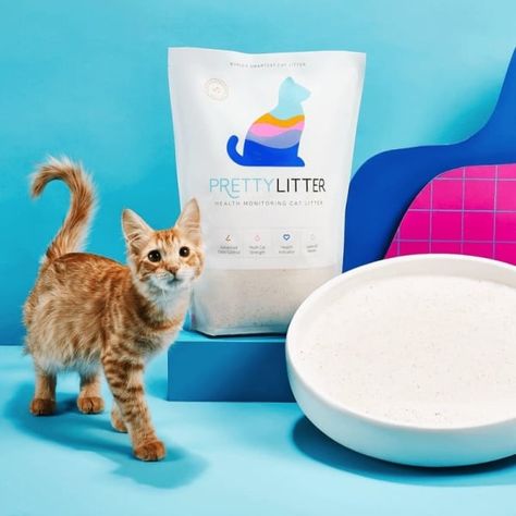 Pretty Litter, Litter Robot, Mean Cat, Litter Mat, Cat Urine, Cat Parenting, Catnip Toys, Free Cats, Cat Health