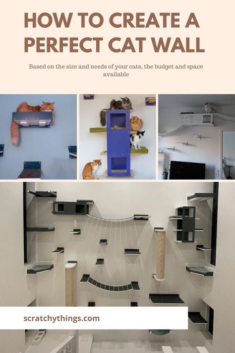 A guide how to pick the right cat furniture for your home and cat's needs Cat Shelf Dimensions, Cat Wall Shelves Design, Diy Cat Wall Ideas With Crates, Cat Wall Layout, Cat Wall Boxes Diy, Cat Room For Multiple Cats, Cat Shelves Ideas, Cat Wall Shelves Living Room, Cat Wall Furniture Ideas