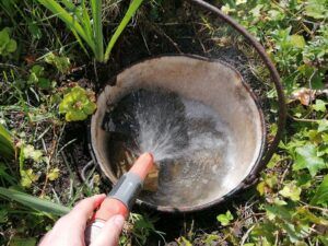 Build a Tiny Pond - Centre for Alternative Technology Bucket Pond, Tiny Pond, Pond Dipping, Small Backyard Ponds, Container Pond, Solar Pond, Mini Pond, Toad House, Backyard Ponds