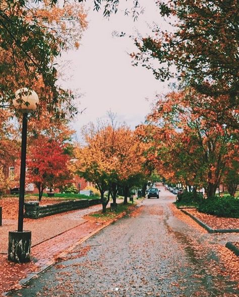 Fall at The University of Tennessee at Chattanooga University If Tennessee, University Of Tennessee Chattanooga, University Of Tennessee Campus, University Of Tennessee Aesthetic, Utc Chattanooga, Ut Chattanooga, Univ Of Tennessee, Tennessee University, Tennessee College